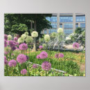 Recherche de allium posters Printemps