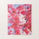 Zoek naar cherry blossom puzzels Bloem