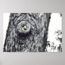 Zoek naar baby eekhoorn posters Wild