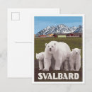 Recherche de ours arctique cartes postales Svalbard