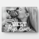 Recherche de le chiot plaques Pour tous