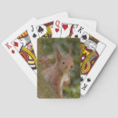 Recherche de écureuil jeux de cartes Animaux