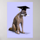 Zoek naar studies posters Grappig
