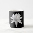 Recherche de lilly photographie Fleurs