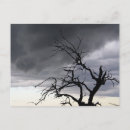 Recherche de catastrophes naturelles cartes postales Tempête