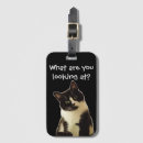 Recherche de chat drôle bagages étiquettes Chaton