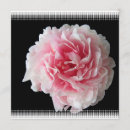 Recherche de pivoine invitations Fleur