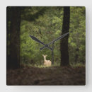 Recherche de deer horloges Forest
