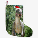 Recherche de t rex chaussette de noël Tyrannosaurus