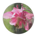 Recherche de fleurs roses planches à découper Mère
