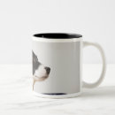 Recherche de cuvette tasses Plan rapproché