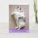 Recherche de felines toutes vœux cartes Félin