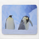 Recherche de manchot tapis souris Glace