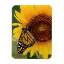 Recherche de monarque magnets Papillons