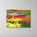 Zoek naar muurkunst Natuur