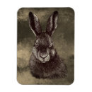 Recherche de lapins magnets Forêt