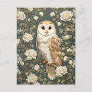 Recherche de owl cartes postales Animal