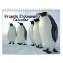 Recherche de pingouin photographie Pingouins