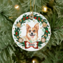 Recherche de corgi décorations de noël Chien