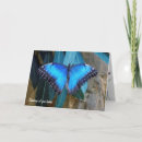 Recherche de papillon bleu morpho vœux cartes Insecte
