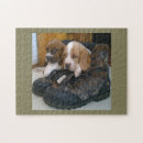 Recherche de basset puzzles Chiot