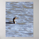 Zoek naar dubbel posters Vogels