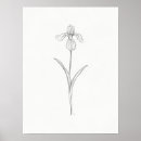 Zoek naar iris tekening posters Bloem