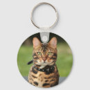 Zoek naar bengalen sleutelhangers Kitten