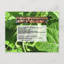 Recherche de végétariens cartes postales Jardin