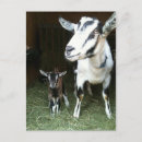 Recherche de mom cartes postales Pour tous