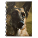 Zoek naar herdershond notitieboeken Duitse herder