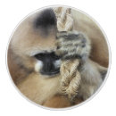 Recherche de singes boutons et poignées de porte Ape