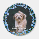 Recherche de pet photo magnets Mémorial