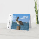 Zoek naar zeegezichten kaarten Ocean
