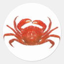 Recherche de griffé autocollants Griffes