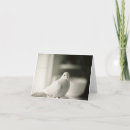 Recherche de colombe blanche vœux cartes Oiseau