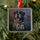Recherche de amoureux des animaux ornements Dogs