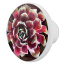 Recherche de sud ouest boutons et poignées de porte Succulent