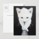 Recherche de le petit chat blanc cartes postales Mignon