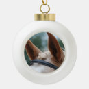 Recherche de crinière ornements Cheval