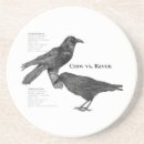 Recherche de corvid dessous de verres Corbeau