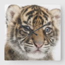 Recherche de appareil horloges Nature