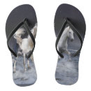 Zoek naar paarden slippers Dieren