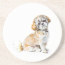 Recherche de compagnon animal bar Chien