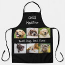 Recherche de chiens tabliers Noir et blanc