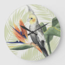 Recherche de oiseau noir horloges Oiseaux