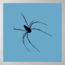 Recherche de araignée noire posters Bleu