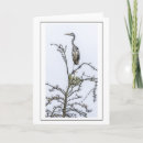 Zoek naar reigers kaarten Dieren