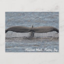 Recherche de fluke posters Queue