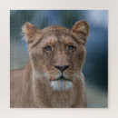 Zoek naar leeuwin puzzels Wild